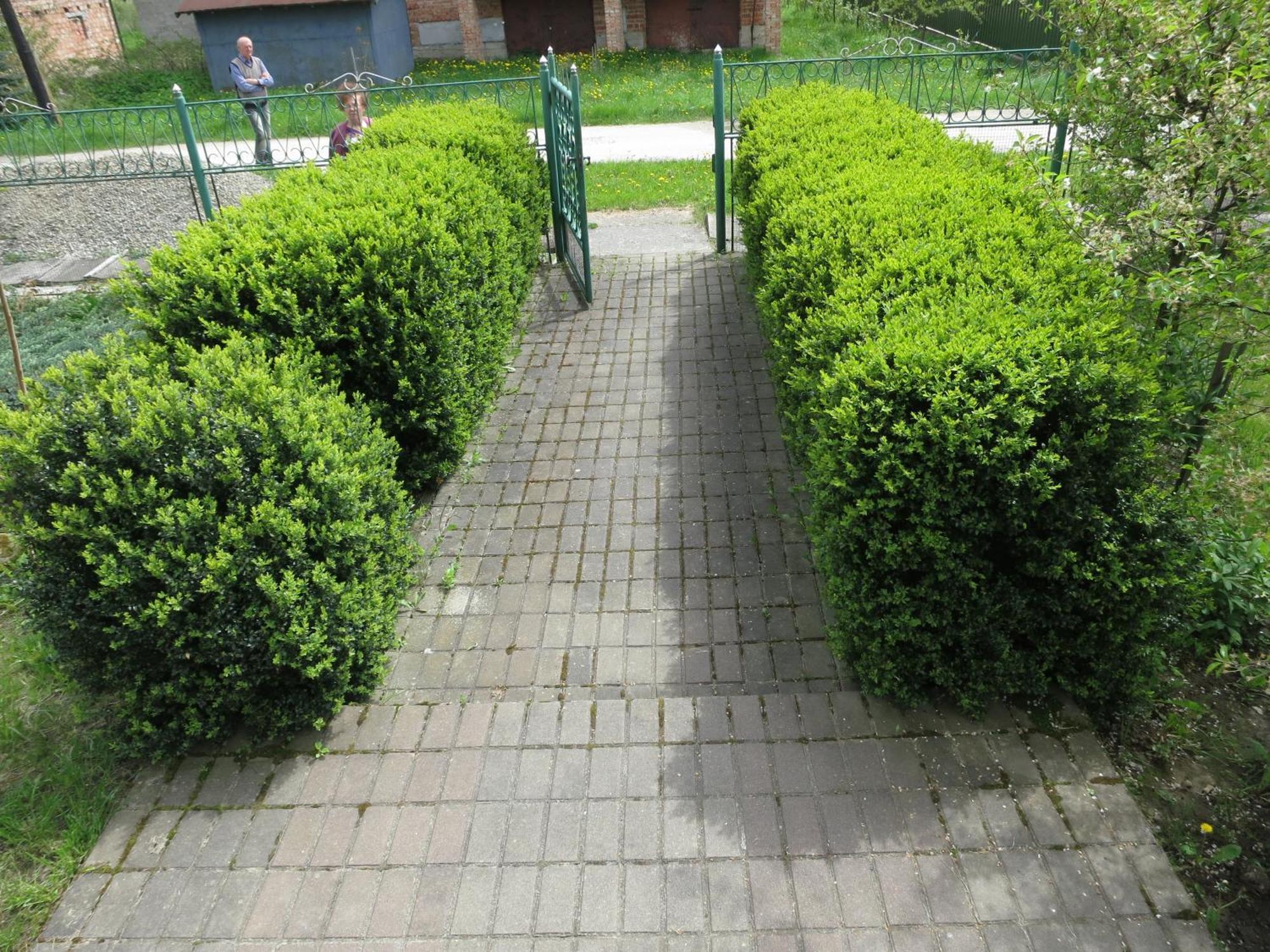 Hostynna Sadyba Lishnya Extérieur photo